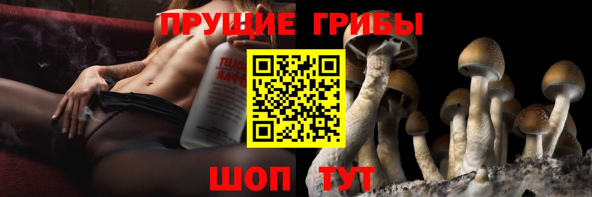 Псилоцибиновые грибы GOLDEN TEACHER  Галлюциногенные грибы ЛСД  купить закладку  Фролово  Вход с VPN 
